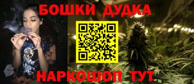сатива Новодвинск
