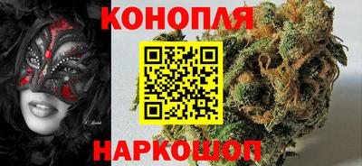 сатива Новодвинск