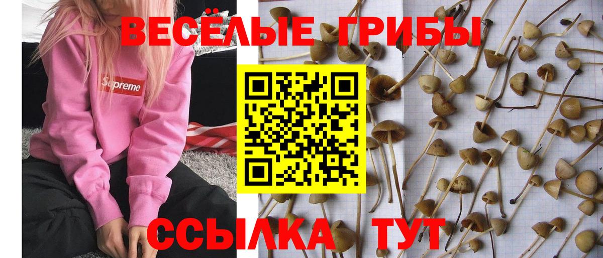 A-PVP Сунжа
