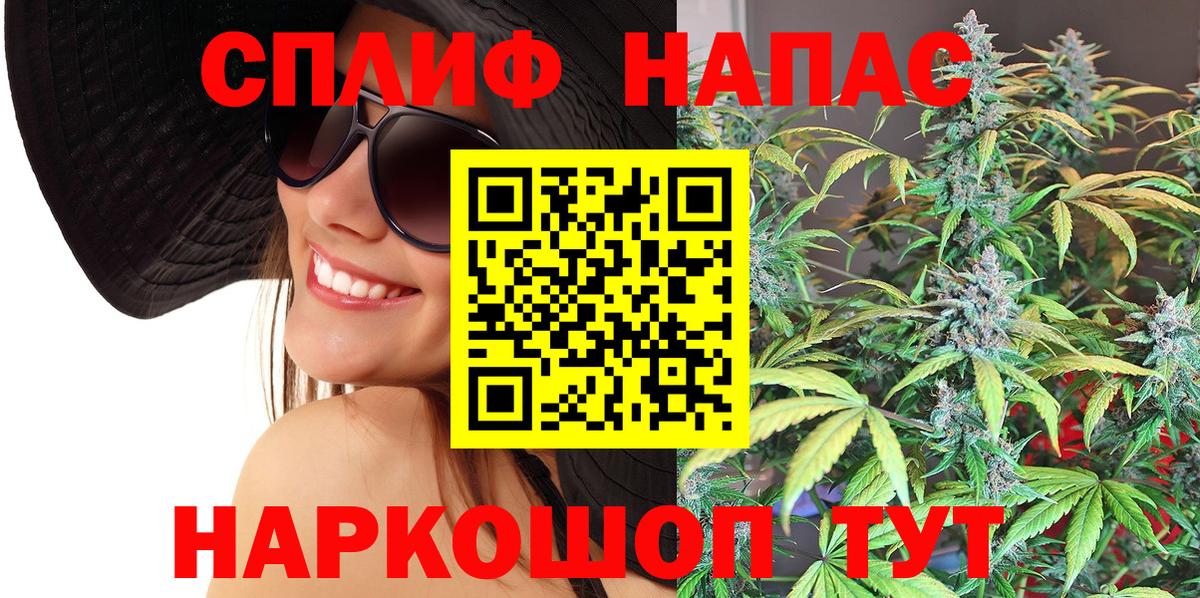 Бошки марихуана семена Сунжа